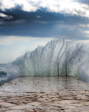 Image post by @cristan.nature.photography on Instagram