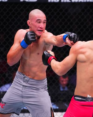 Image post by @ufc on Instagram