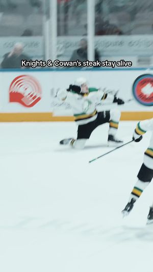 Video post by @ryanfpalmer on TikTok