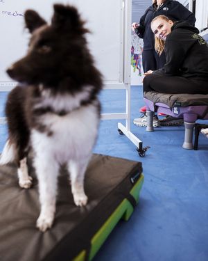 Image post by @enyahabl on Instagram