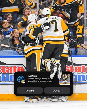 Image post by @penguins on Instagram