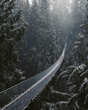 Image post by @bill.yao on Instagram