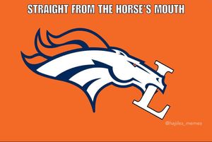 Image post by @nflmemeguy on Instagram