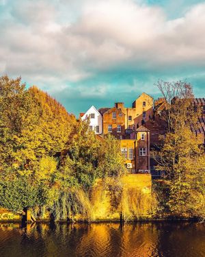 Image post by @tapestrycollection on Instagram