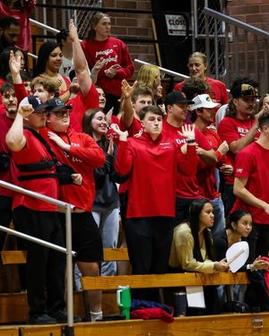 Image post by @pacuredden on Instagram