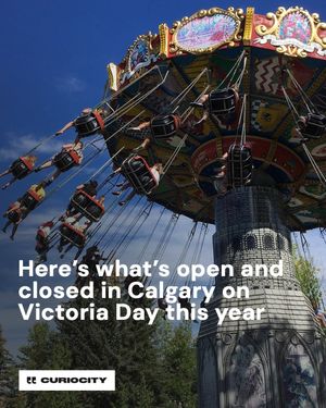Image post by @curiocitycalgary on Instagram