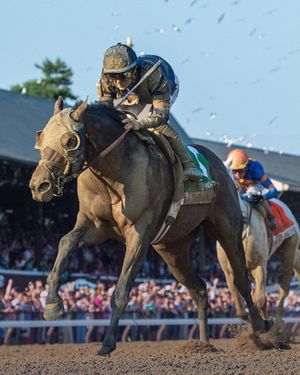 Image post by @coolmoreamerica on Instagram