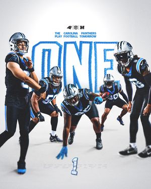 Image post by @panthers on Instagram