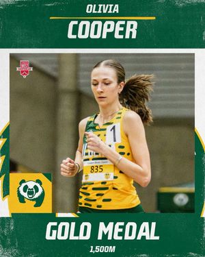 Image post by @bearsandpandas on Instagram