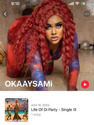 Image post by @okaaysami on Instagram