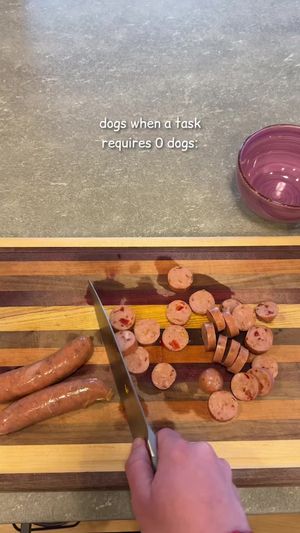 Video post by @wayfair on TikTok