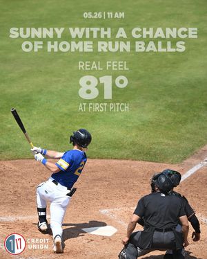 Image post by @akronrubberducks on Instagram