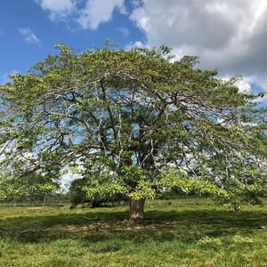 Image post by @jhoncolombiano on Instagram