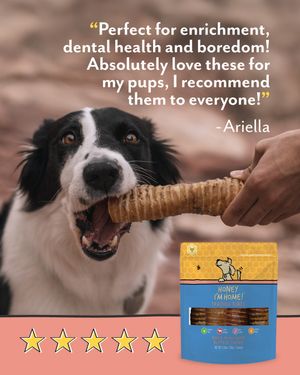 Image post by @honeyimhome on Instagram