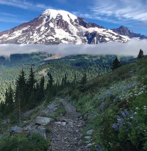 Image post by @nationalparkservice on Instagram