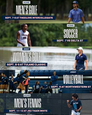 Image post by @gojsutigers on Instagram