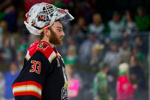 Image post by @TheAHL on Twitter