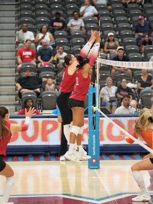 Image post by @lmulionswvb on Instagram
