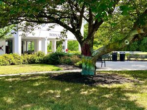 Image post by @montclair_reslife on Instagram