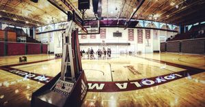 Image post by @lmulionsmbb on Instagram