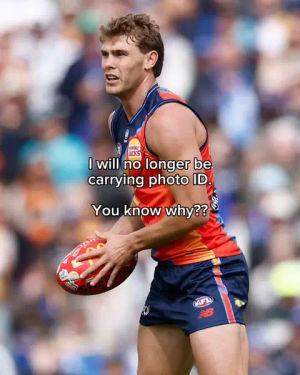Image post by @afl on TikTok