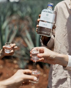 Image post by @lalospirits on Instagram