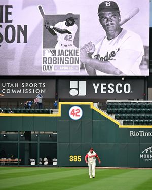Image post by @saltlakebees on Instagram