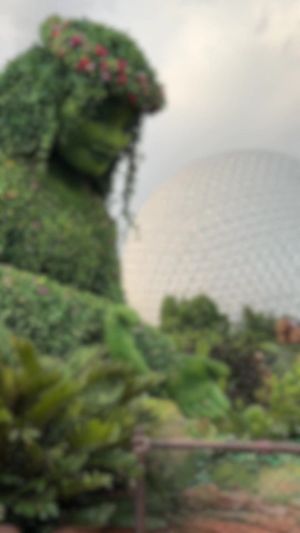 Video post by @disneyparks on TikTok