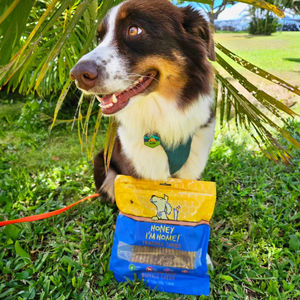 Image post by @honeyimhome on Instagram