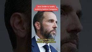 Video post by @msnbc on YouTube