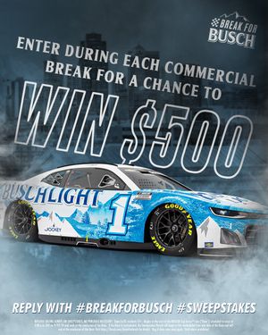 Image post by @BuschBeer on Twitter