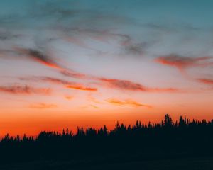 Image post by @z.clik on Instagram