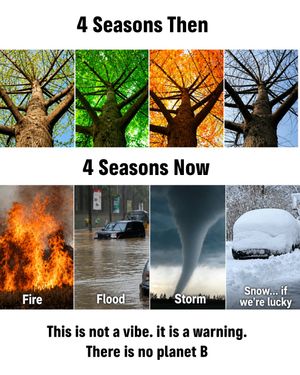 Image post by @greenpeace on Instagram