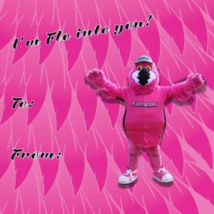 Image post by @floflamingos on Instagram