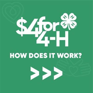 Image post by @northcarolina4h on Instagram