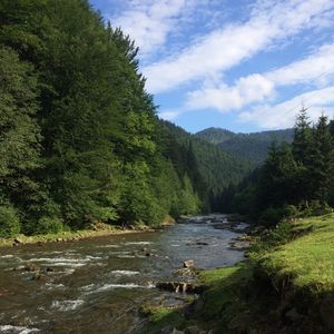 Image post by @rocky_myers on Instagram