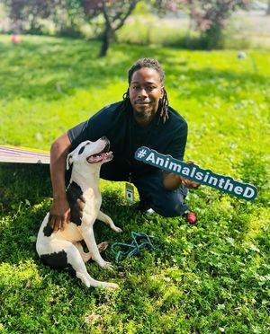 Image post by @DetroitGSD on Facebook