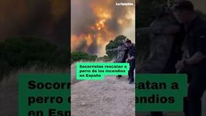 Video post by @laopinionla on YouTube