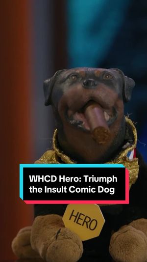 Video post by @thedailyshow on TikTok