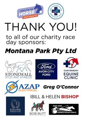 Image post by @nzhorseambulancetrust on Facebook