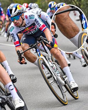 Image post by @veloncc on Instagram