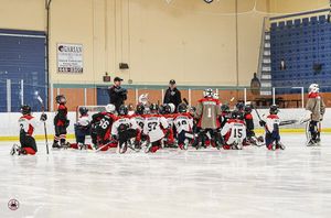 Image post by @ryangraveshockeyschool on Instagram