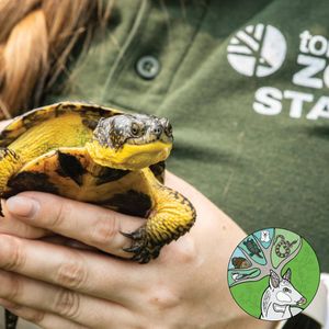 Image post by @thetorontozoo on Instagram