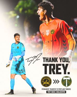 Image post by @Chas_Battery on Twitter