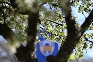 Image post by @pittadmissions on Instagram