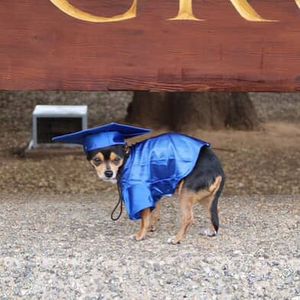 Image post by @ucsc on Instagram