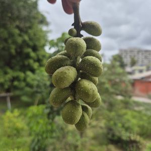 Image post by @caiosoueu on Instagram