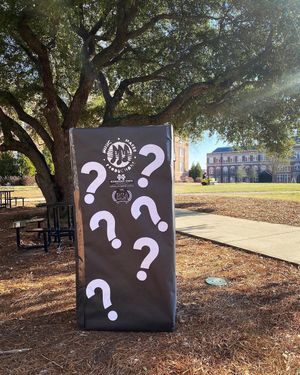 Image post by @msu_mmp on Instagram