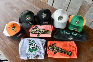 Image post by @GoWoodDucks on Twitter