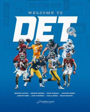 Image post by @detroitlionsnfl on Instagram